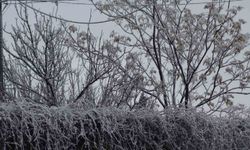 Gercüş beyaz örtüyle kaplandı