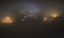 Gercüş'te sis etkili oldu