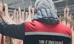 Gıda satışı yapan işletmeler denetlendi