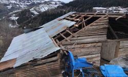 Giresun'da fırtınada bazı seralar ve yayla evleri hasar gördü