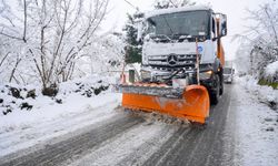 Giresun'da kar yağışı etkisini gösterdi