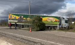 Gönen-Bandırma yolunda kontrolden çıkan tır şarampole savruldu