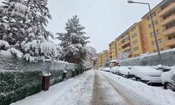 Gümüşhane'de kar 247 köy yolunu ulaşıma kapattı