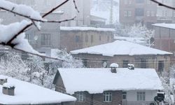 Hakkari'de 160 yerleşim yolu ulaşıma kapandı