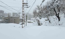 Hakkari'de 43 yerleşim yerinin yolu ulaşıma kapandı