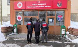 Hakkari'de 9 yıl 9 ay hapis cezası bulunan şahıs yakalandı