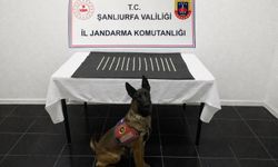 Harran'da uyuşturucu operasyonu: 2 gözaltı