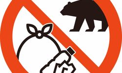 Japonya, turistleri ayılardan korumayı amaçlayan yeni uyarı işaretlerini tanıttı