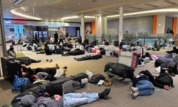 Japonya'da kar esareti