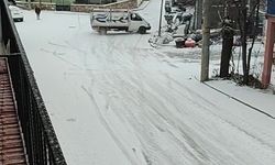 Kamyonet buzlanan yolda kayarak ilerledi