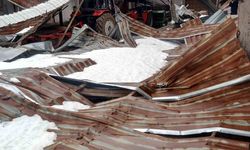 Kar birikintisi mandıra çatısını çökertti: 4 ton buğday zarar gördü