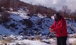 Kar yağışı Karacadağ'daki yaban hayatını zorladı