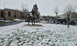 Kar yağışına en çok Büyükşehir Belediye Başkanı sevindi