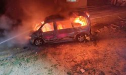 Karacasu'da ticari araç alevlere teslim oldu