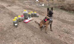 Karaman'da uyuşturucu operasyonu: 1 gözaltı