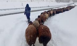 Karlıova'da besicilerin zorlu kış mesaisi