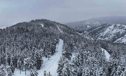 Kastamonu ormanlarında kış güzelliği