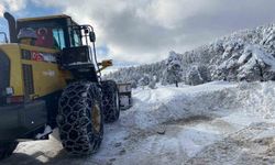 Kastamonu'da kar sebebiyle 611 köye ulaşım sağlanamıyor