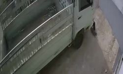 Kedi ezen sürücüye hayvan barınağında çalışma cezası