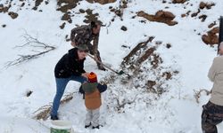 Kemaliye'de yaban hayvanları için yemleme faaliyeti gerçekleştirildi