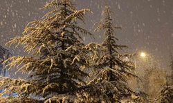 Kırşehir'de gece saatlerinde lapa lapa kar yağışı başladı