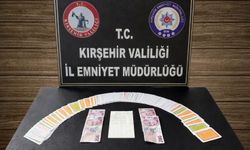 Kırşehir'de kumar operasyonu