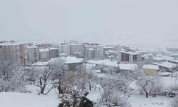 Kulp'ta kar esareti: Köy yolları kapandı, ilçe trafiği kilitlendi