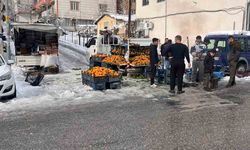 Kulp'ta kar esareti: Pazar esnafının büyük çoğunluğu tezgah açamadı