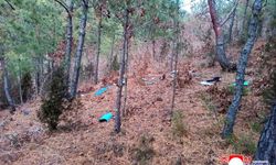 Kuzey Kore, Güney Kore'ye ait casus dronu düşürdü: 'Ağır bir bedel ödeyecekler'