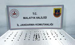 Malatya'da tarihi eser operasyonu