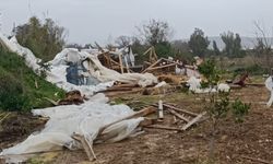 Manavgat'ta hortum 300 dönümlük alanda seraları yerle bir etti