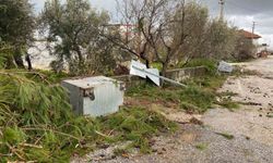 Manavgat'ta hortum üç mahalleyi harabeye çevirdi