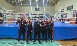 Manisa muaythaide, Ege'ye damga vurdu