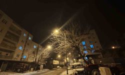 Mardin'de kar etkili oluyor