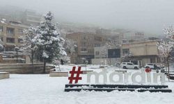 Mardin'de kar yağışı etkili oluyor
