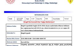 Meteorolojiden Bingöl için kuvvetli kar yağışı uyarısı