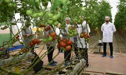 Modern sera yatırımları Salihli'de tarımı güçlendiriyor