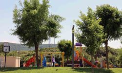 Muğla Büyükşehir Belediyesi yeşil alanları artırıyor