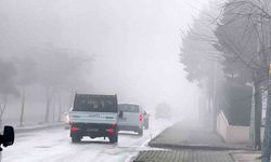 Muğla'da yoğun sis etkili oldu