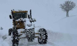 Muş'ta 176 köy yolu ulaşıma kapandı, ekipler hastalar için seferber oldu