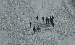 Nevşehir'de köpek dövüşüne jandarma baskını