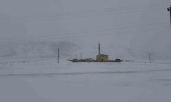 Pamuk Geçidi'nde kar ve sis ulaşımı olumsuz etkiledi