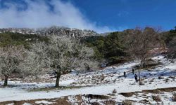 Paşa Yaylası'nda kar keyfi