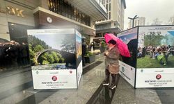 Rize'nin renkleri fotoğraf karelerine yansıdı