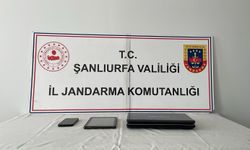 Şanlıurfa'da nitelikli dolandırıcılık operasyonu: 1 gözaltı
