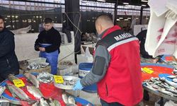 Sarıgöl'de balık tezgahlarına sıkı denetim