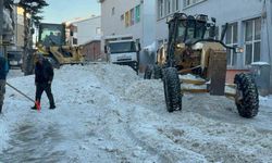 Sarıkamış'ta kar seferberliği: İlçe merkezinden 600 kamyon kar taşındı