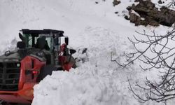 Sason'da kapanan mezra yolları ulaşıma açıldı