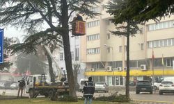 Şehir merkezinde riskli ağaçlara sepetli araçlı müdahale