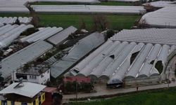 Seydikemer'de hortum, fırtına ve dolu seraları vurdu